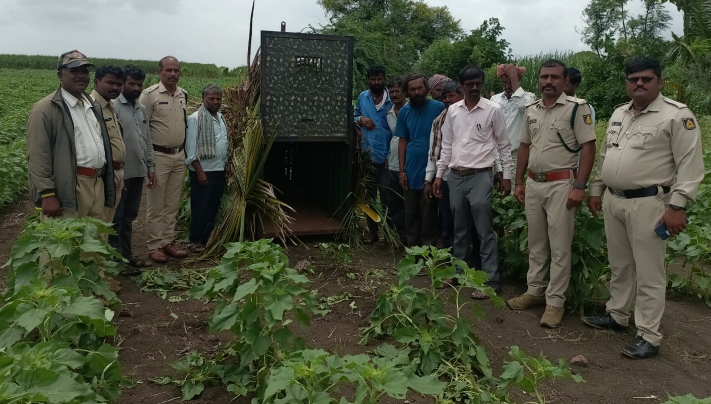 Muddebihal: ಚಿರತೆ ಹೆಜ್ಜೆ ಹೋಲುವ ಕಾಡುಪ್ರಾಣಿ ಹೆಜ್ಜೆ ಗುರುತು ಪತ್ತೆ? ಕಂದಗನೂರಿನಲ್ಲಿ ಆತಂಕ!