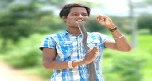 Viral video: Young man who bit a cobra for reels