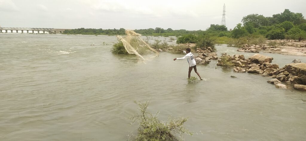 70,000 cusecs of water released from Krishna river