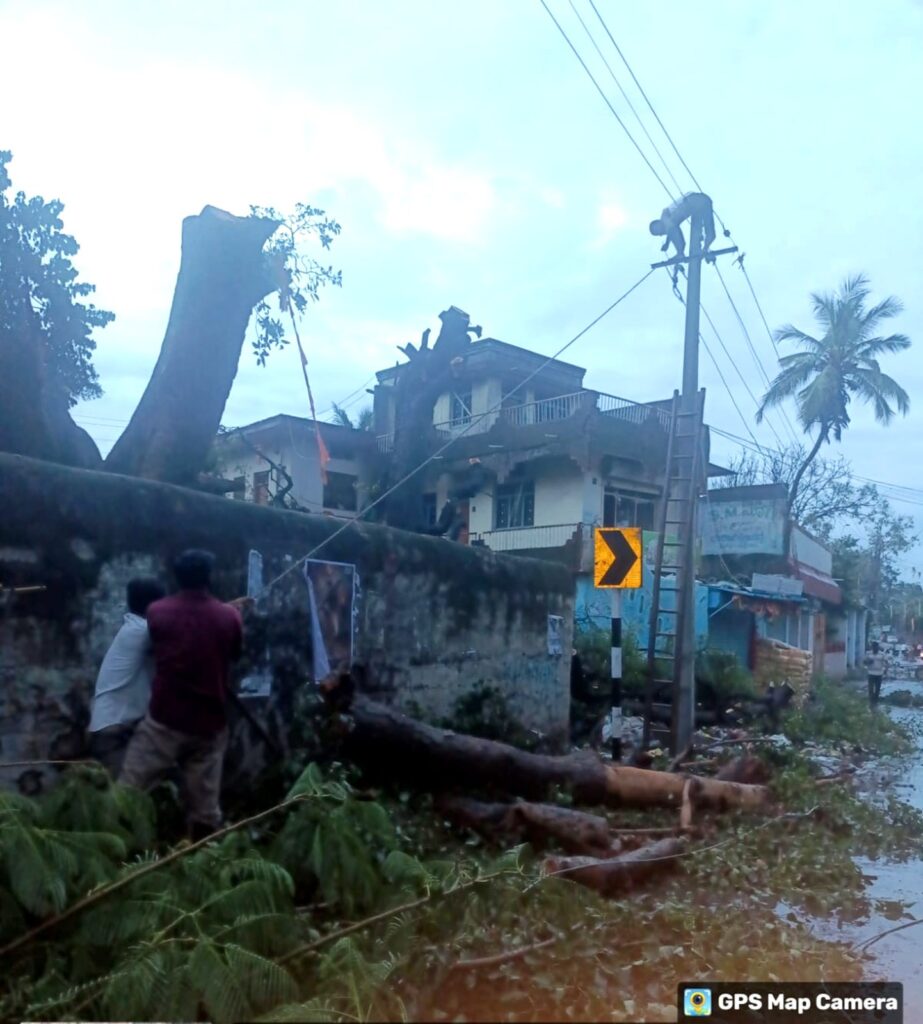 Clearing trees obstructing power lines: HESCOM workers service despite heavy rains