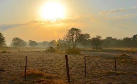 ​🌅 ಶುಭೋದಯದ ಪದ್ಯ