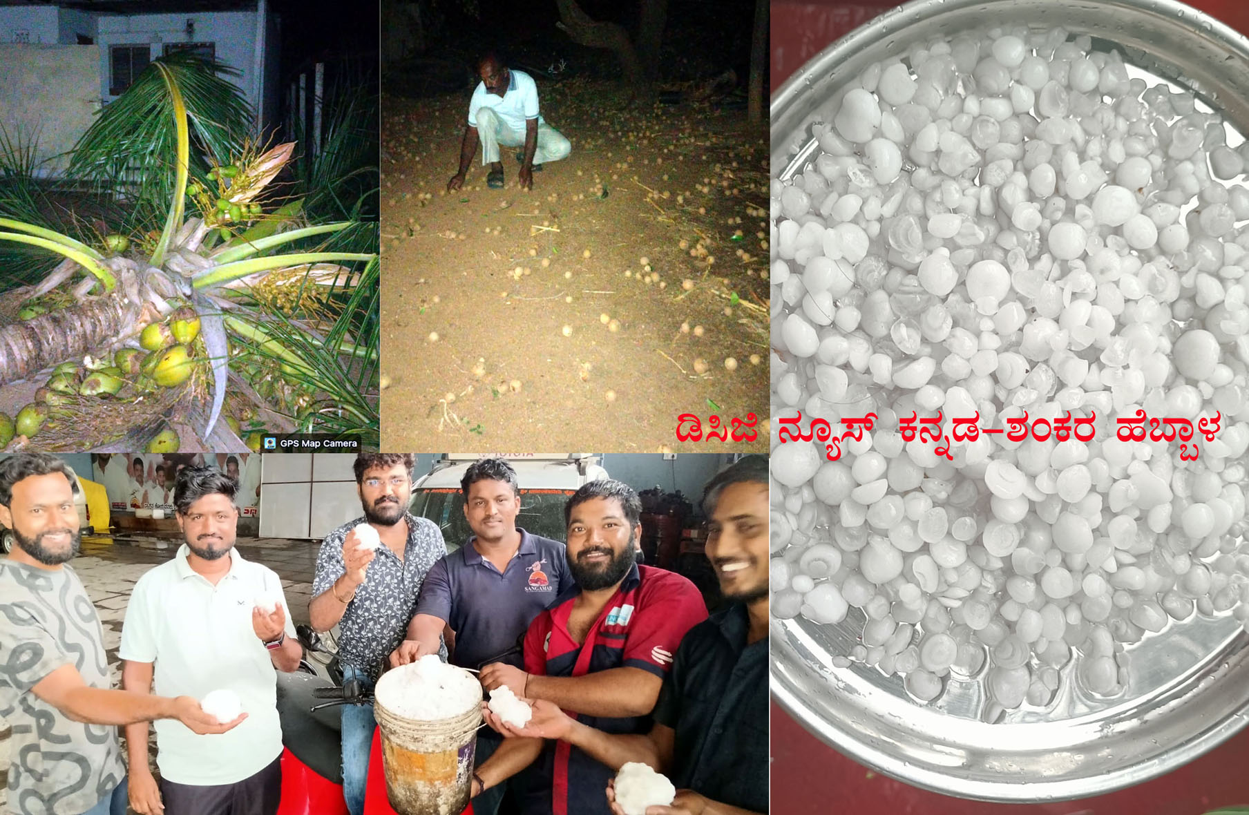 ಮುದ್ದೇಬಿಹಾಳ : ಅಬ್ಬರದ ಆಲಿಕಲ್ಲು ಮಳೆಗೆ ನೆಲಕಚ್ಚಿದ ದ್ರಾಕ್ಷಿ,ಚಿಕ್ಕು,ತೆಂಗಿನ ಗಿಡ