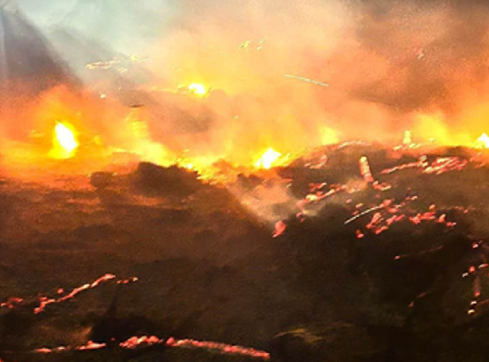 ಎರಡು ಮೇಕೆಗಳು, 20ಕ್ಕೂ ಅಧಿಕ ಕೋಳಿಗಳು ಸಜೀವ ದಹನ