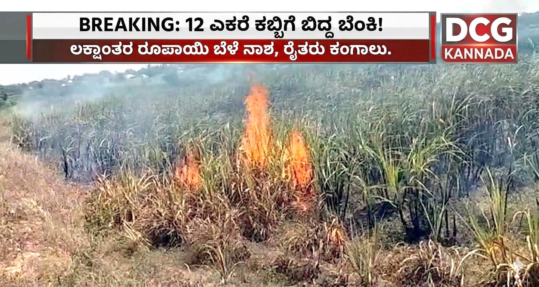 ವಣಕಿಹಾಳ ಗ್ರಾಮದಲ್ಲಿ ಘಟನೆ :                                                   ವಿದ್ಯುತ್ ಶಾಟ್ ಸರ್ಕಿಟ್: 12 ಎಕರೆಗೆ ಕಬ್ಬು ಬೆಂಕಿಗೆ ಆಹುತಿ